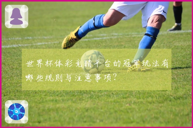 世界杯体彩竞猜平台的冠军玩法有哪些规则与注意事项？