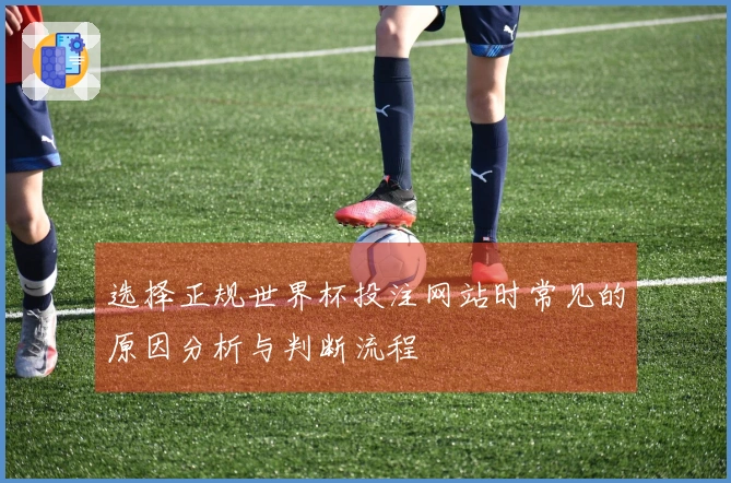 选择正规世界杯投注网站时常见的原因分析与判断流程
