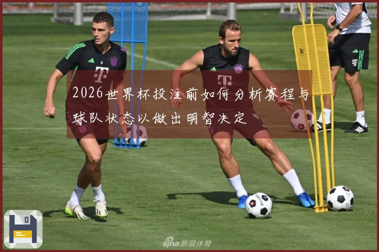 多多28体育资讯图片