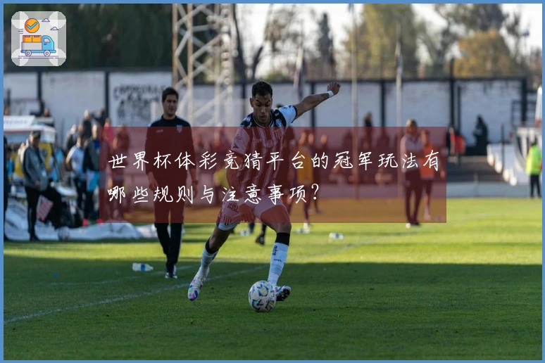 世界杯体彩竞猜平台的冠军玩法有哪些规则与注意事项？