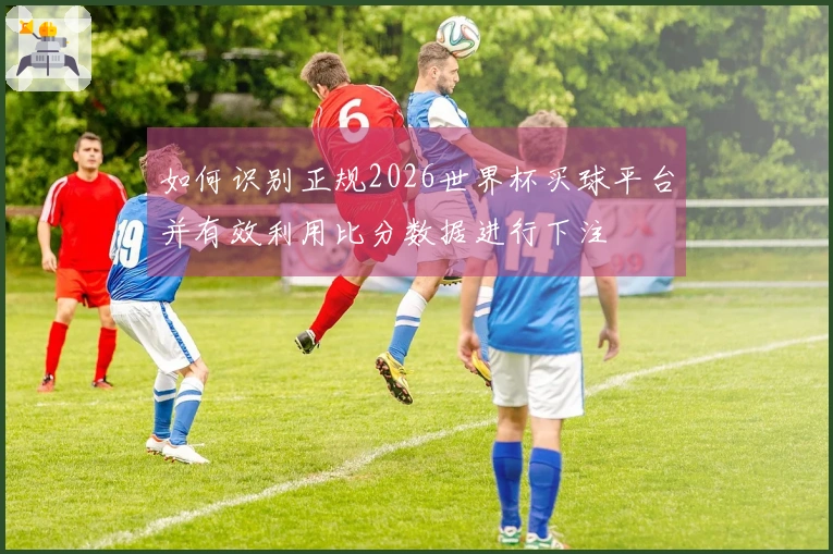 如何识别正规2026世界杯买球平台并有效利用比分数据进行下注