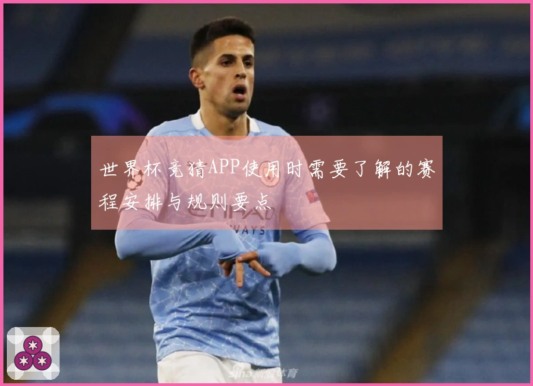 多多28体育资讯图片