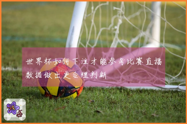 多多28体育资讯图片