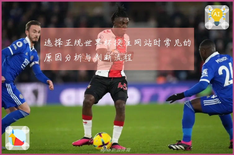 选择正规世界杯投注网站时常见的原因分析与判断流程